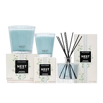 Amazon.com: NEST New York Scented Classic Candle, Driftwood